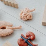 Ochorenia obličiek: príznaky, diagnostika a liečba